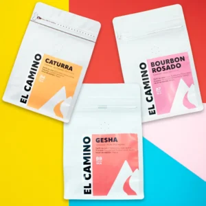 Kit trivarietal: Trilogía de Procesos y Variedades